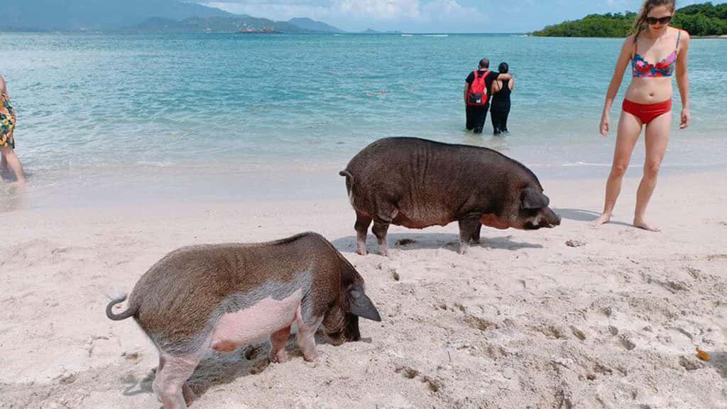 7 hidden islands koh samui, happy samui 7 hidden islands, koh samui tour