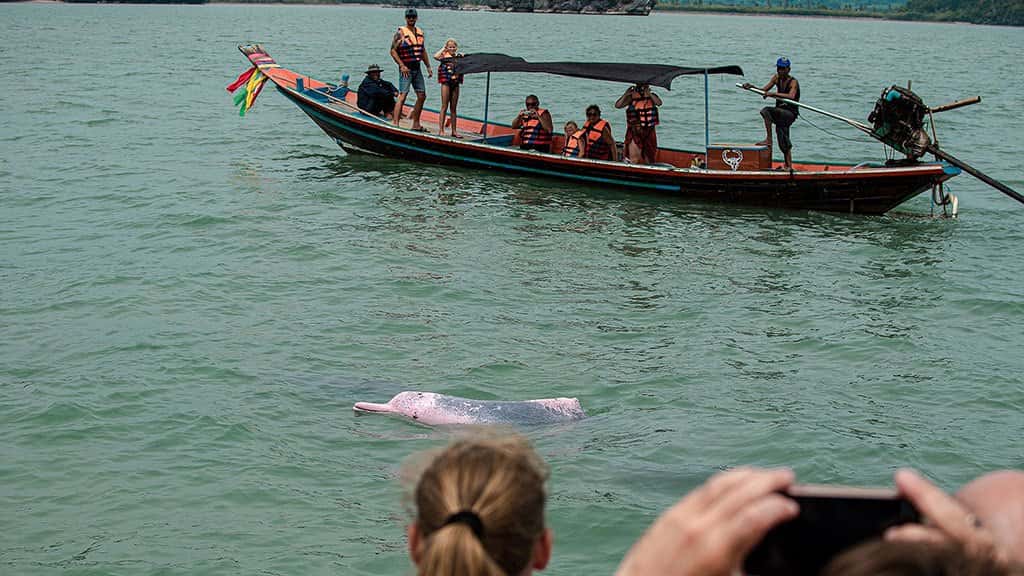 7 hidden islands koh samui, happy samui 7 hidden islands, koh samui tour