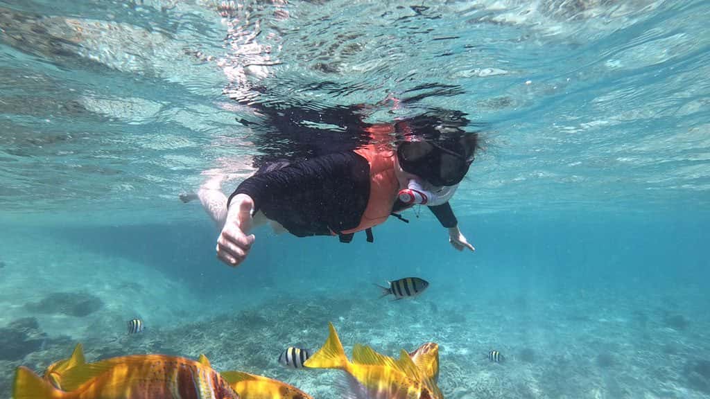 full day trip to koh tao and koh nang yuan from koh samui by speedboat, koh tao and koh nang yuan