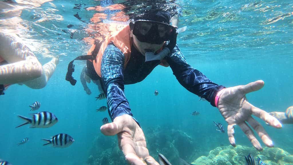 full day trip to koh tao and koh nang yuan from koh samui by speedboat, koh tao and koh nang yuan