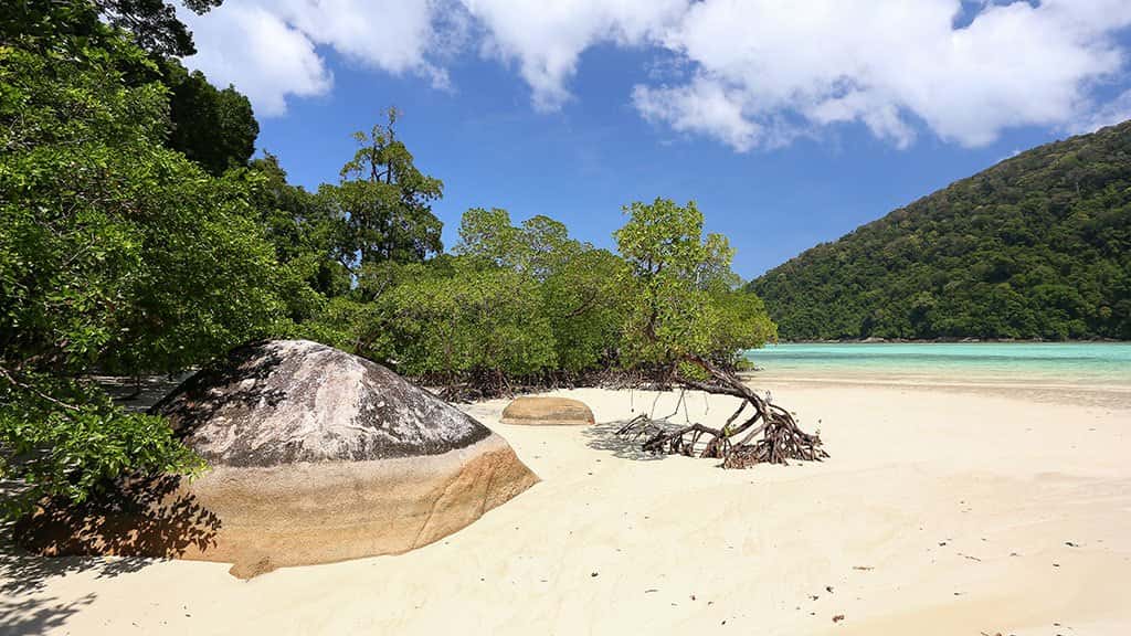 surin islands 3 days 2 nights trip, trip from khao lak