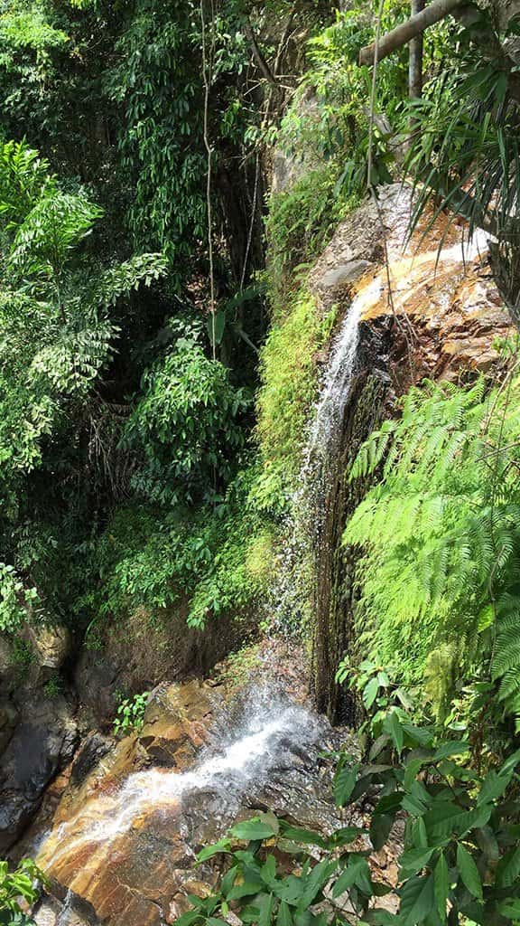 zipline canopy adventure tour, zipline koh samui