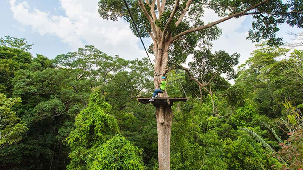 zipline canopy adventure tour, zipline koh samui