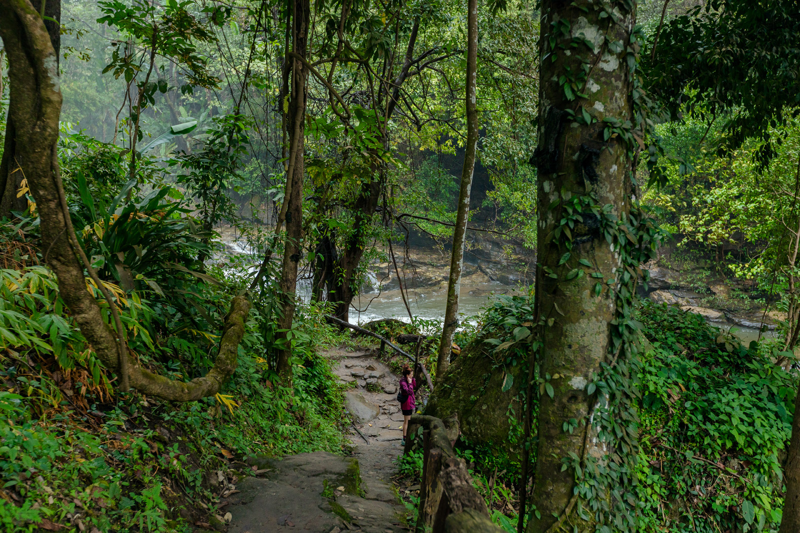 doi inthanon national park