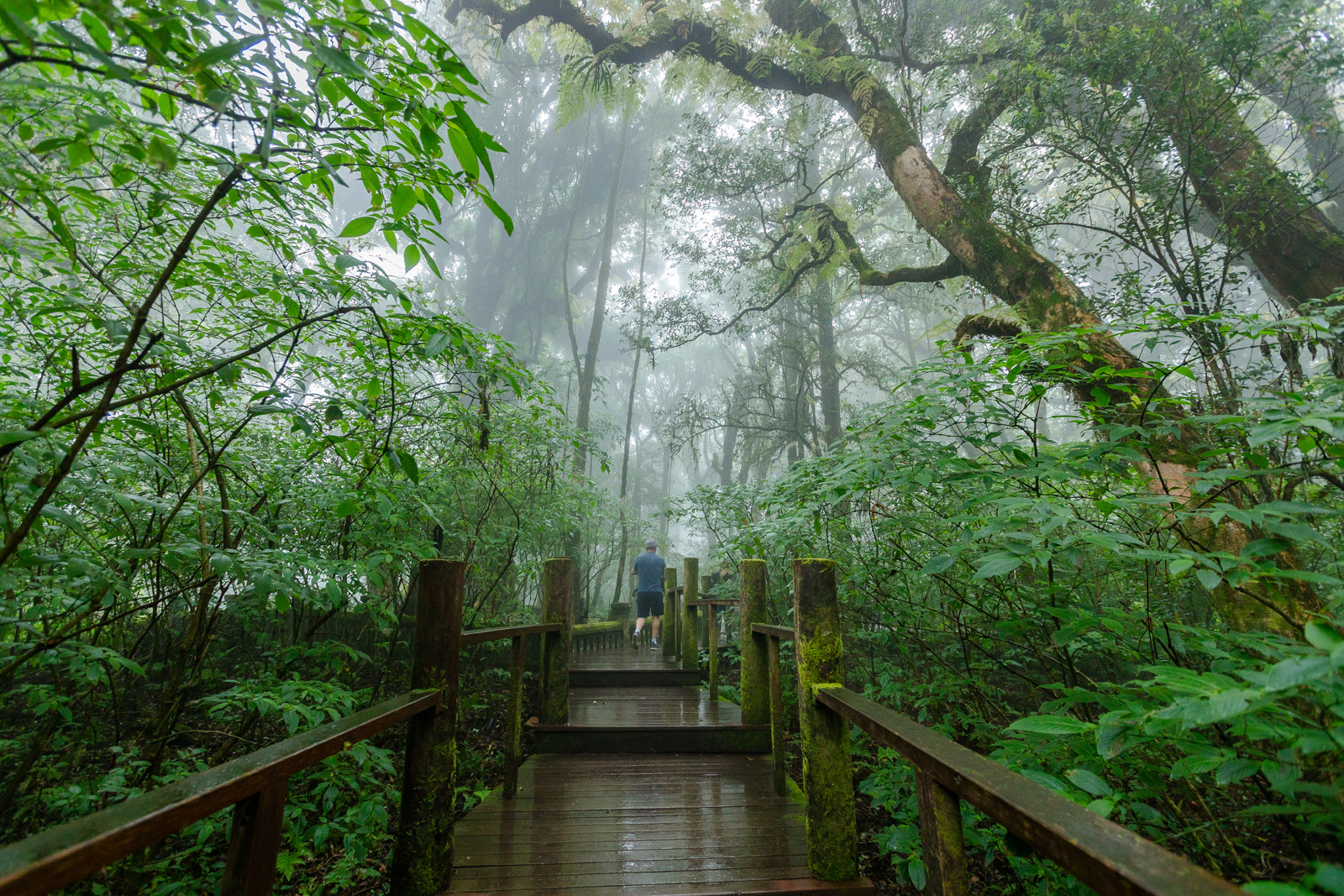 doi inthanon national park
