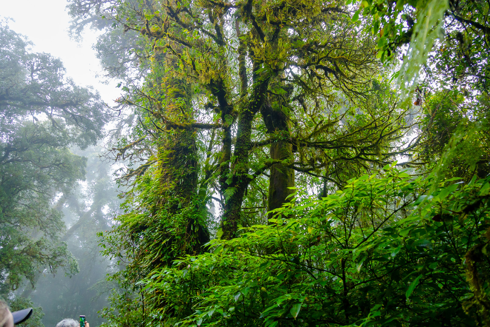 doi inthanon national park