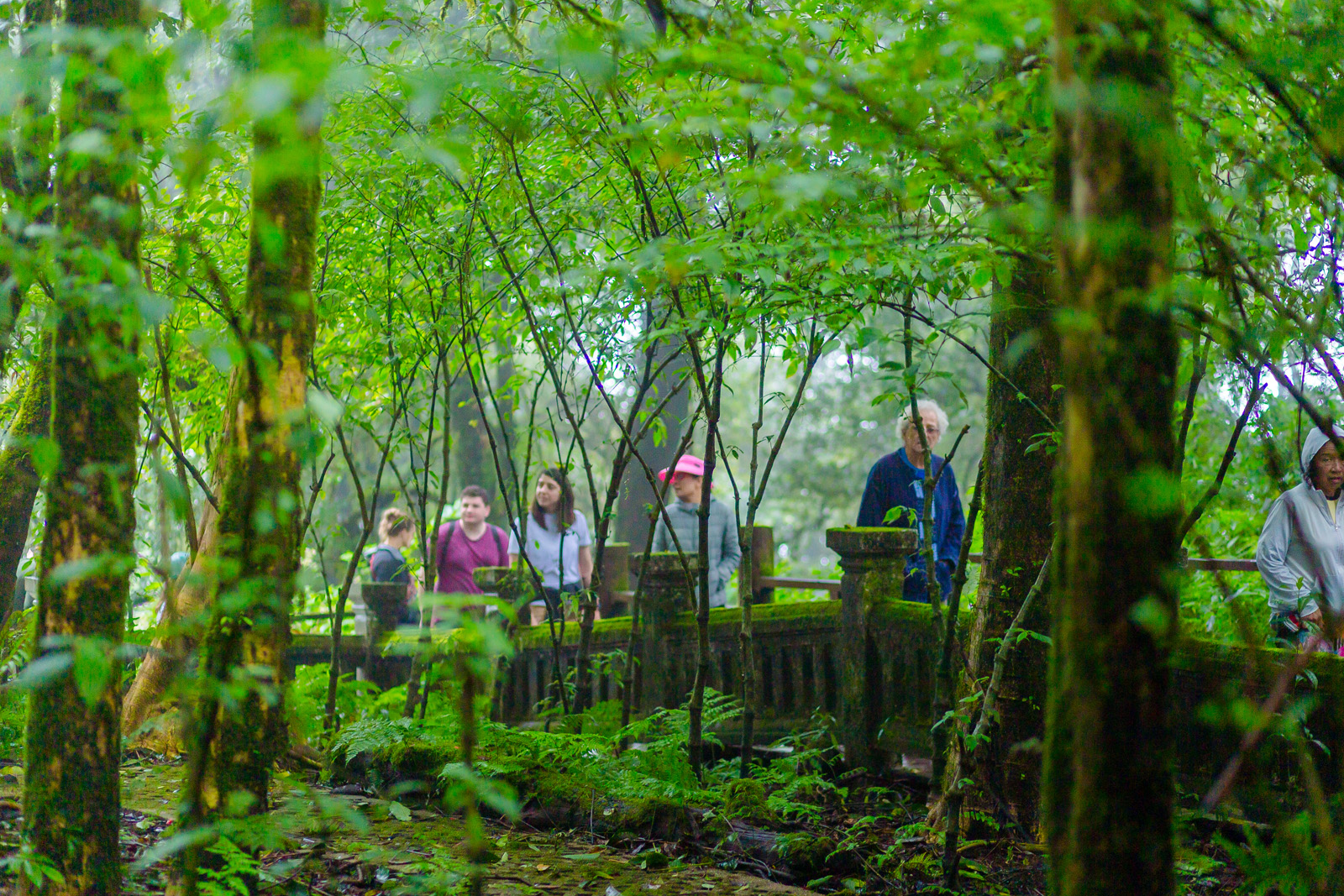 doi inthanon national park