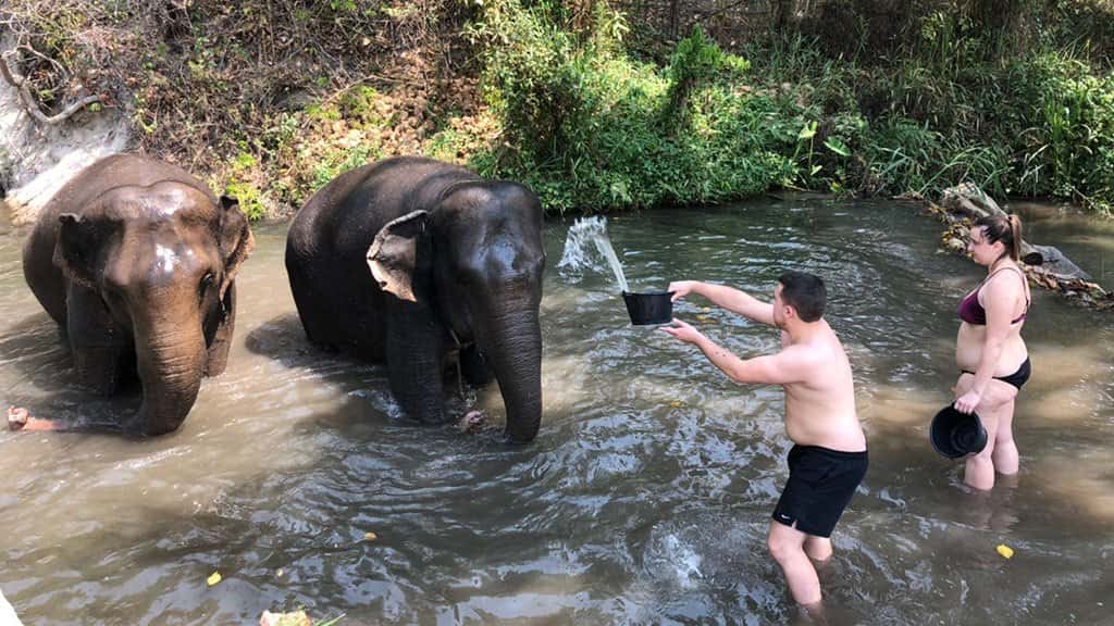 elephant sanctuary, doi inthanon, elephant sanctuary chiang mai