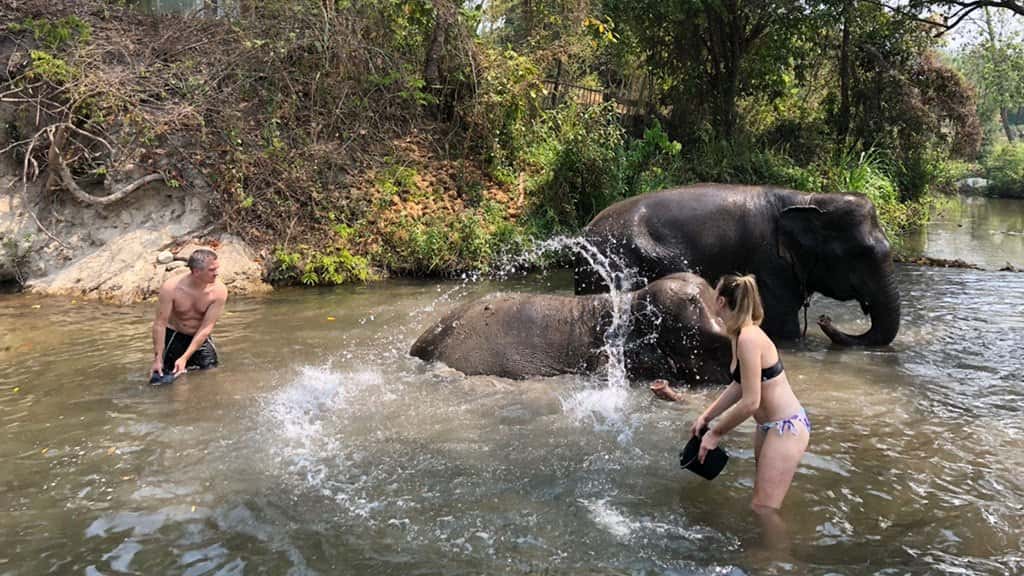 elephant sanctuary, doi inthanon, elephant sanctuary chiang mai