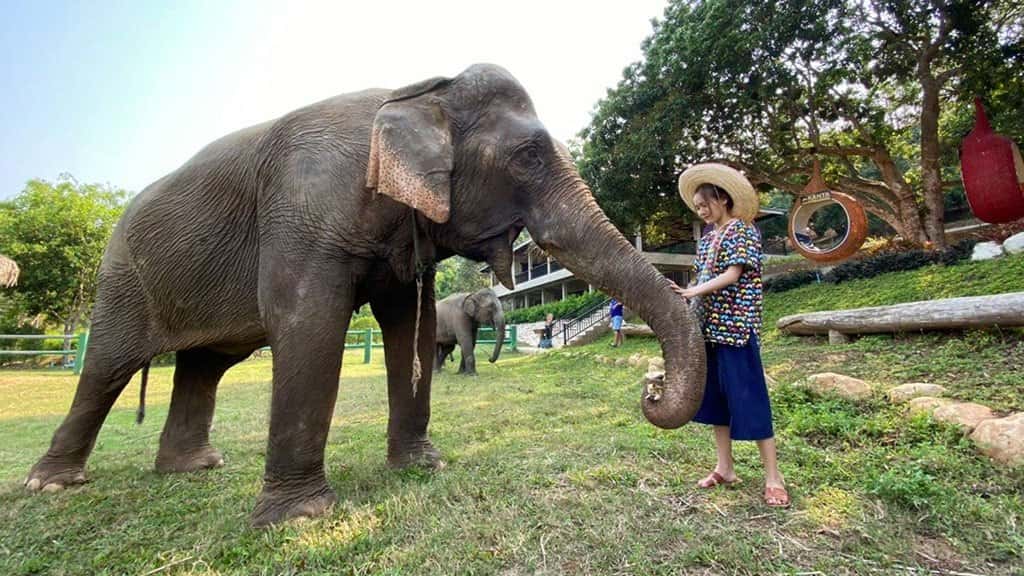kanta elephant sanctuary full day tour