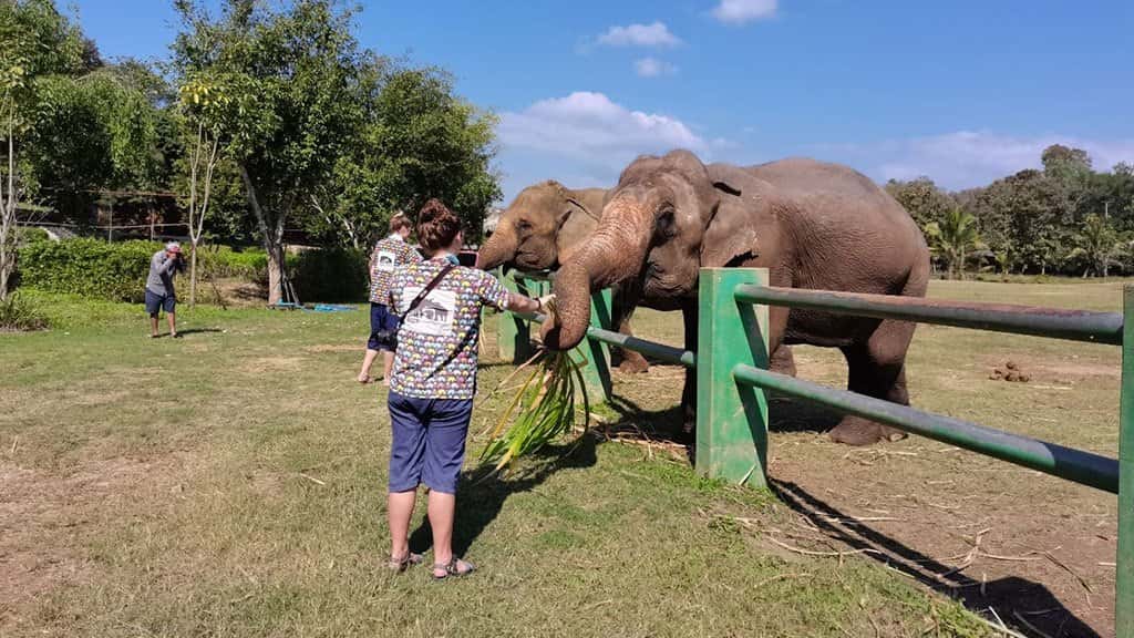 kanta elephant sanctuary full day tour