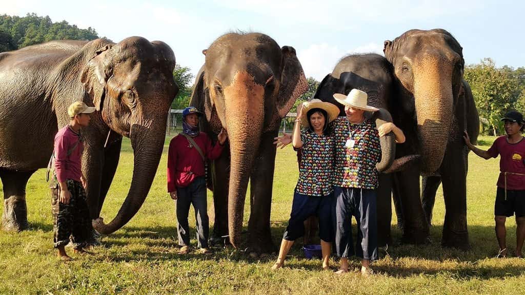 kanta elephant sanctuary full day tour