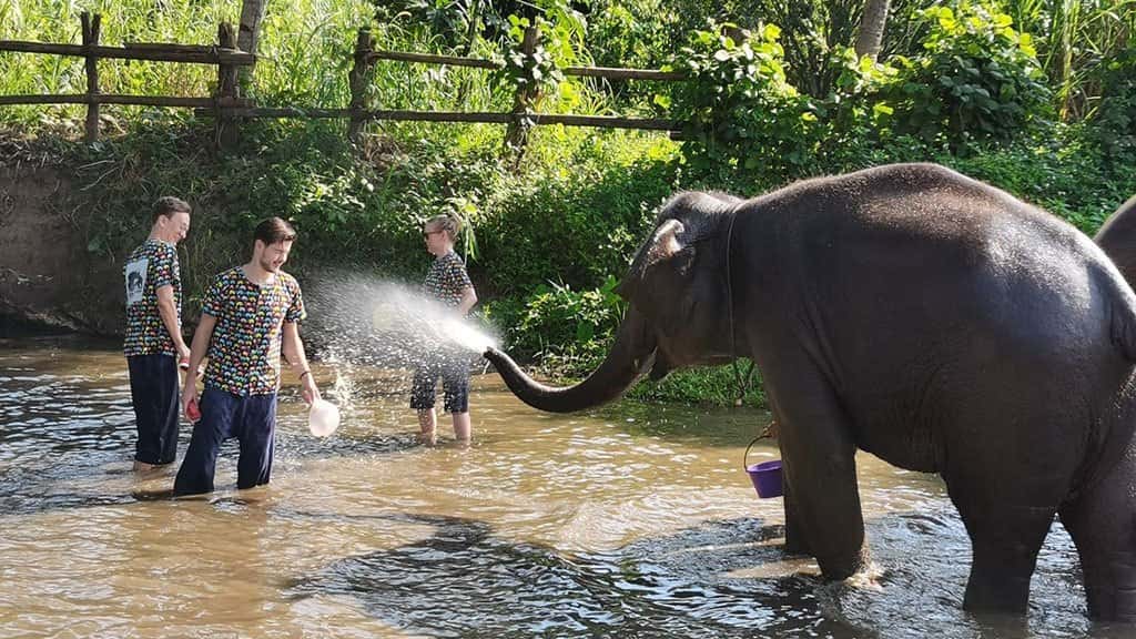 kanta elephant sanctuary full day tour