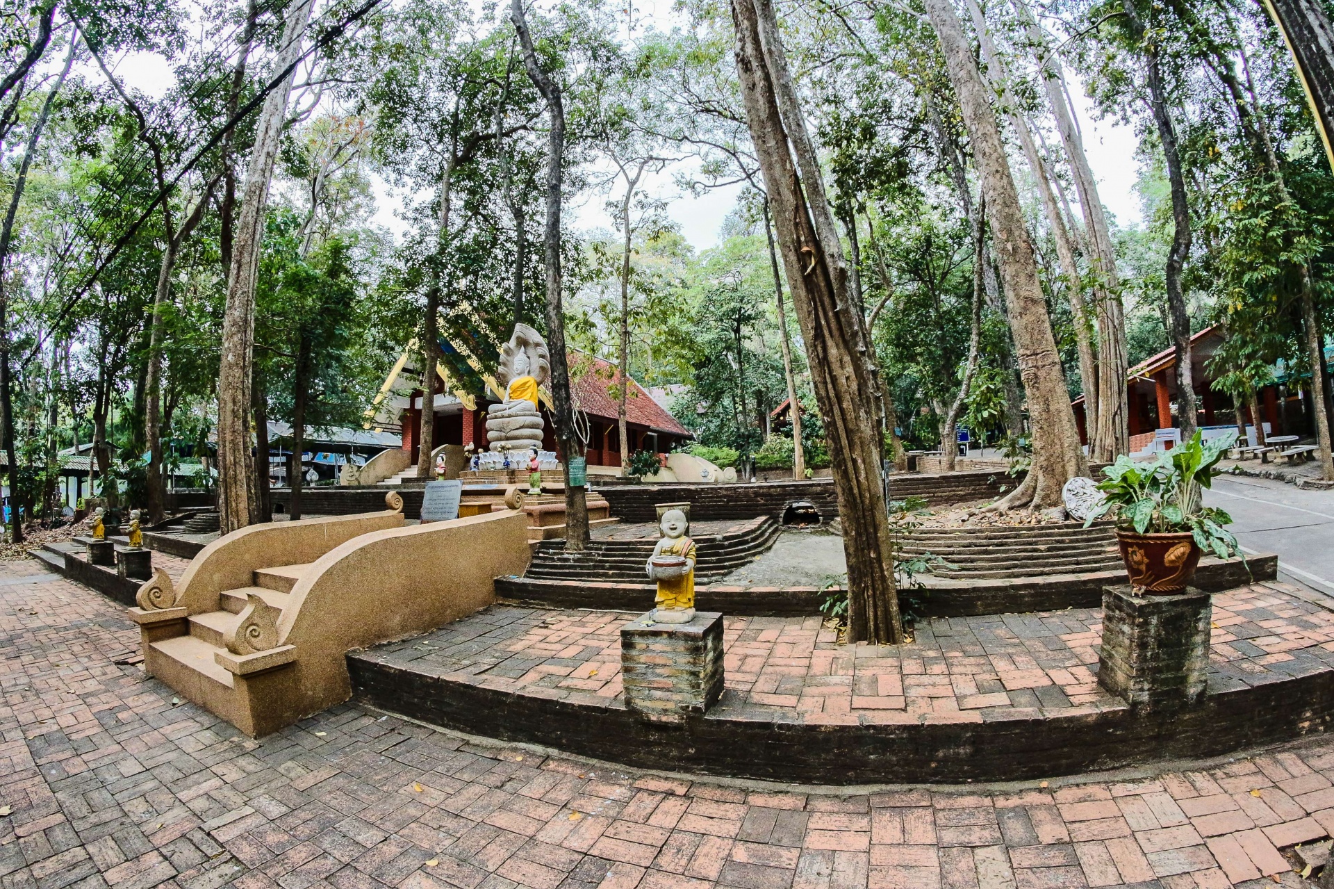 doi suthep night tour