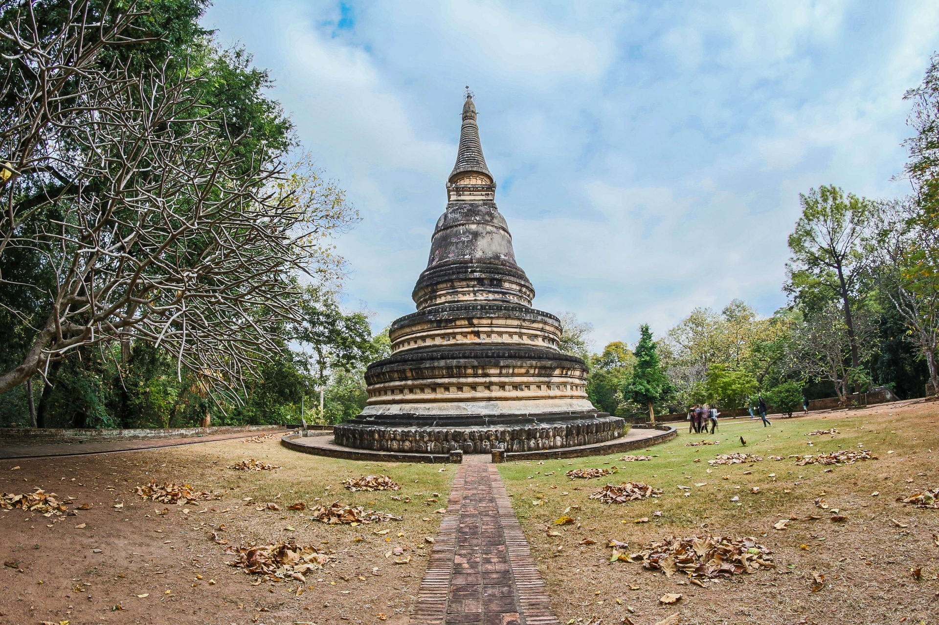 doi suthep night tour