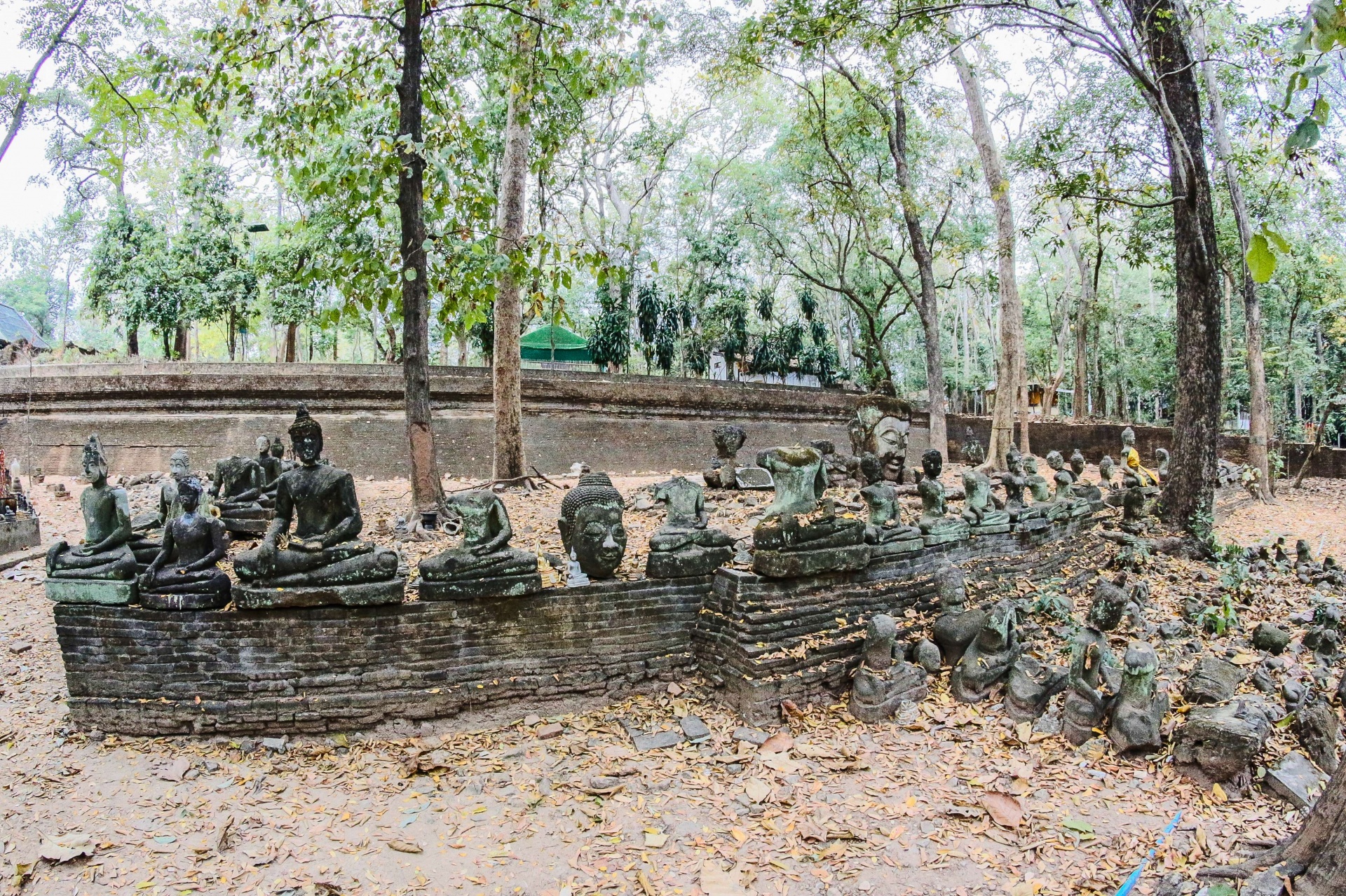 doi suthep night tour