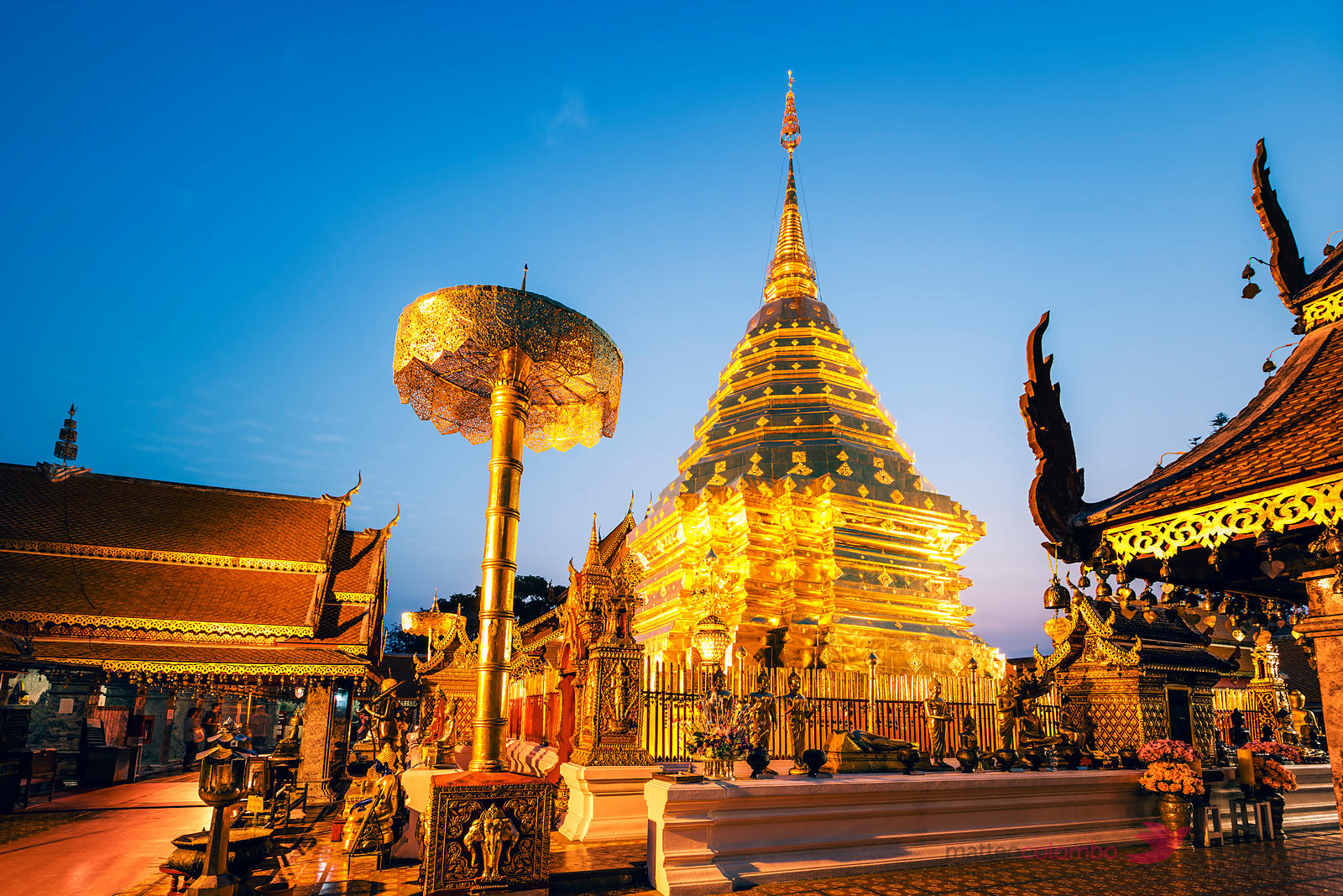 doi suthep night tour