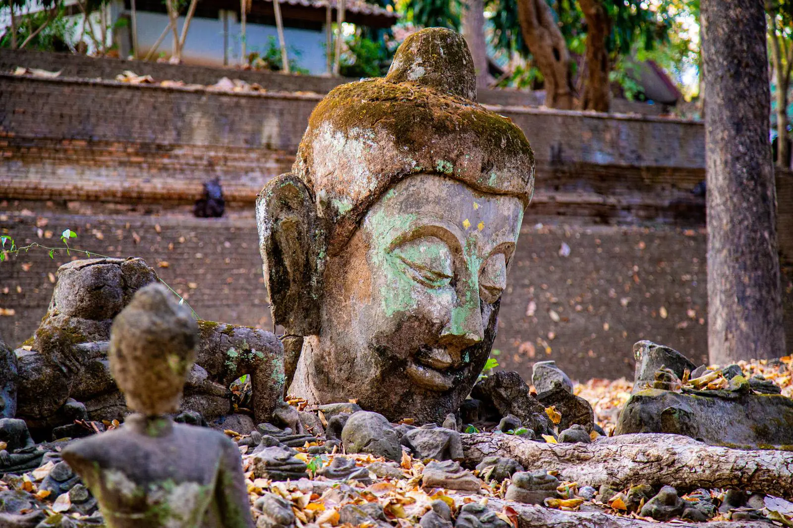 doi suthep night tour