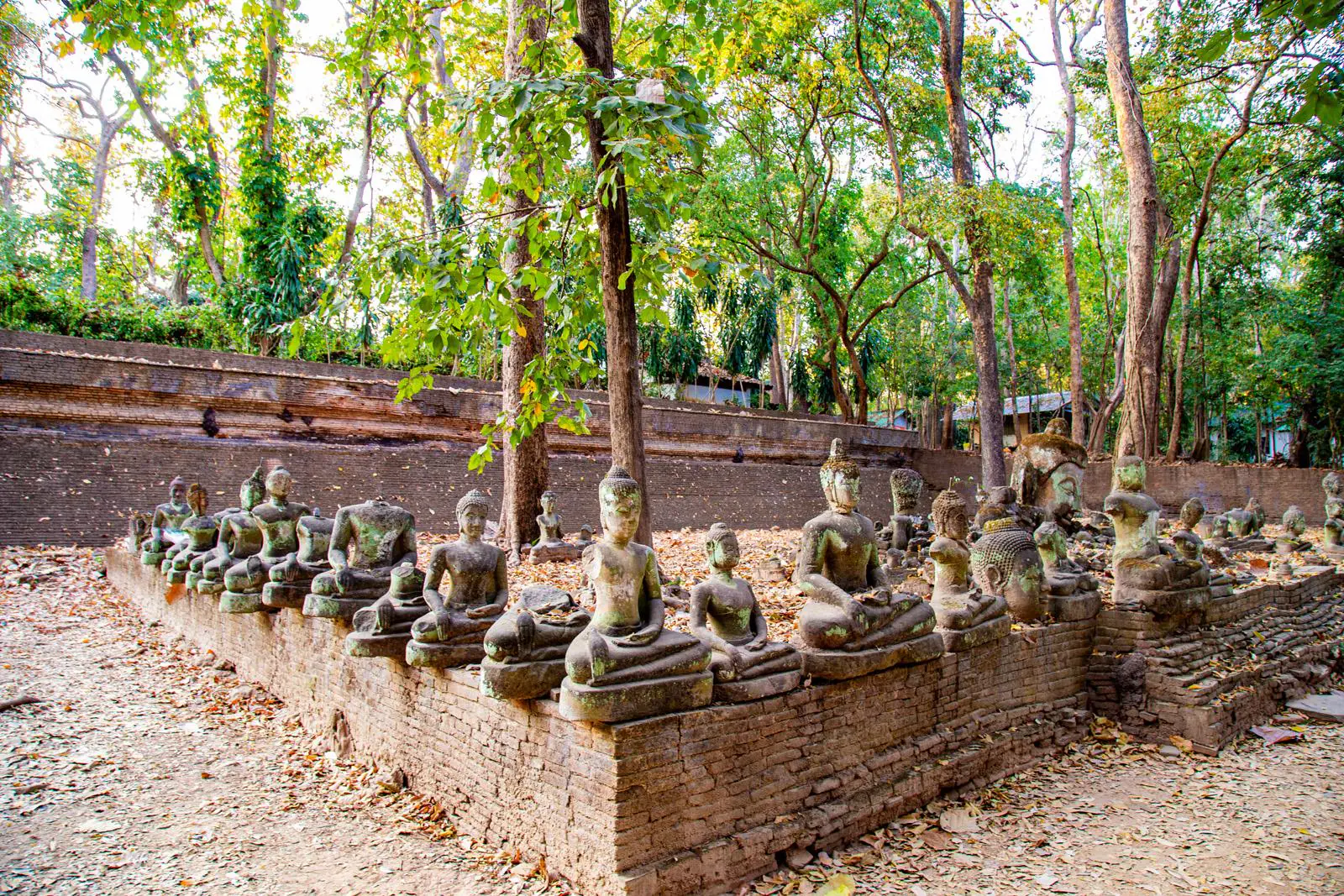 doi suthep night tour
