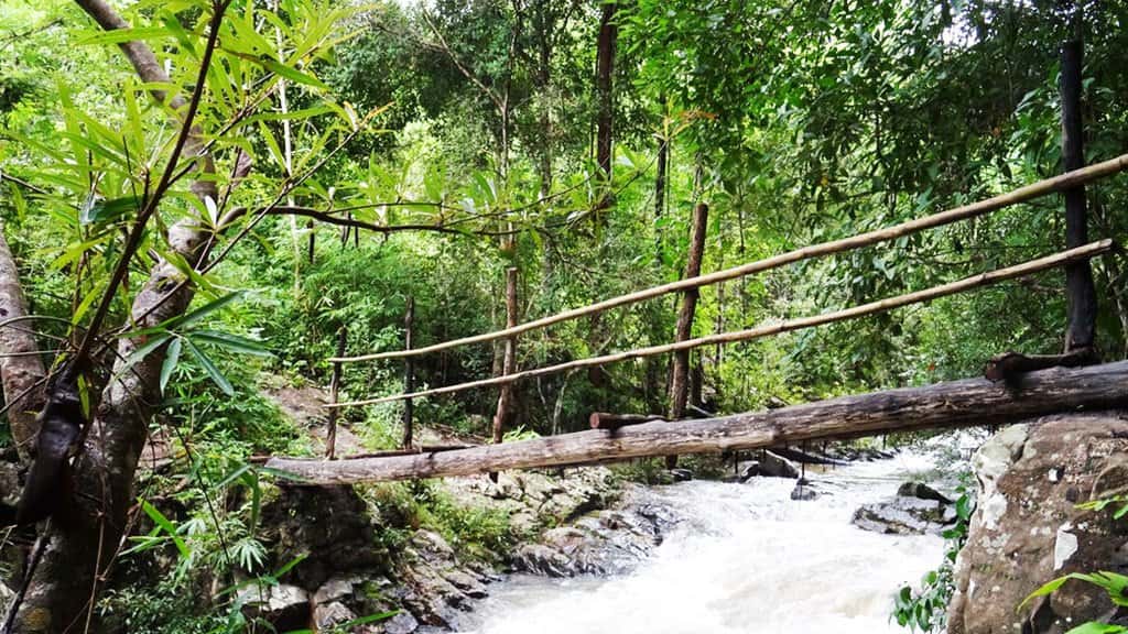 Chiang Mai Trekking 2 Days 1 Night at Mae Wang National Park