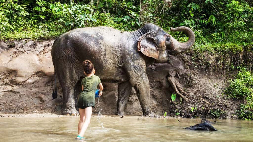 Chiang Mai Trekking 2 Days 1 Night at Mae Wang National Park