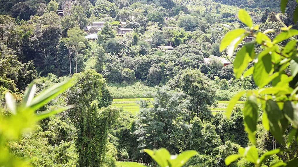 Chiang Mai Trekking 2 Days 1 Night at Mae Wang National Park