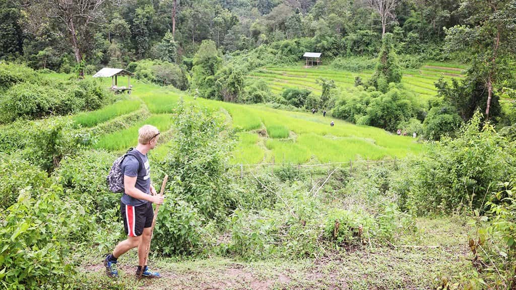 Chiang Mai Trekking 2 Days 1 Night at Mae Wang National Park