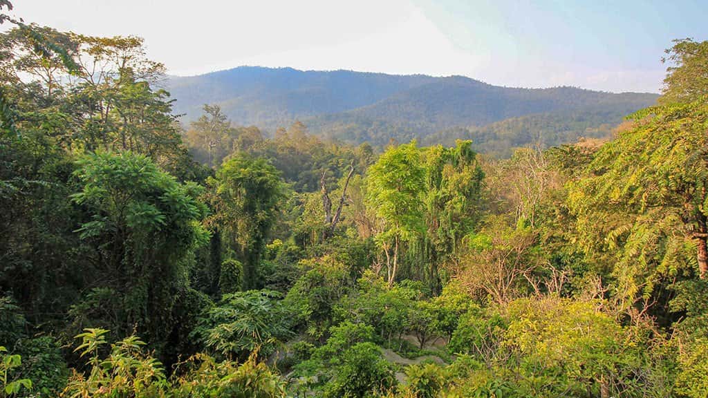 doi suthep temple and sticky waterfall