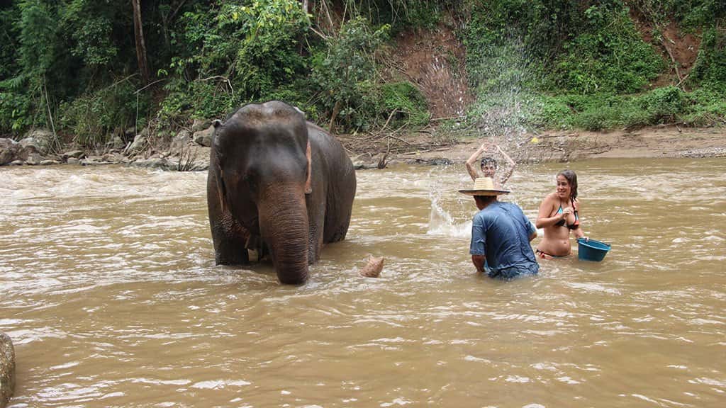 mae taeng river whitewater kayaking and elephant care