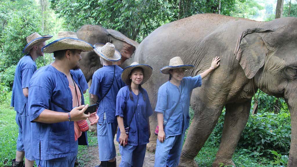 mae taeng river whitewater kayaking and elephant care