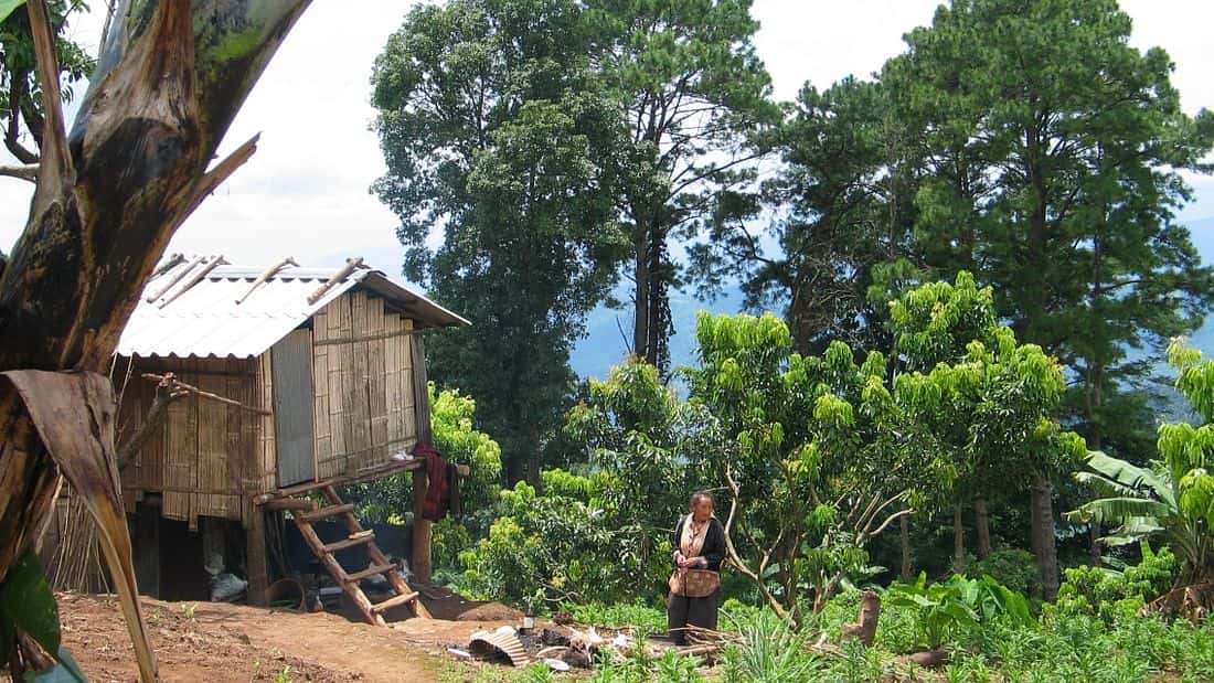 intermediate downhill mountain bike, doi suthep, chiang mai