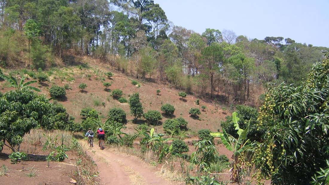 intermediate downhill mountain bike, doi suthep, chiang mai