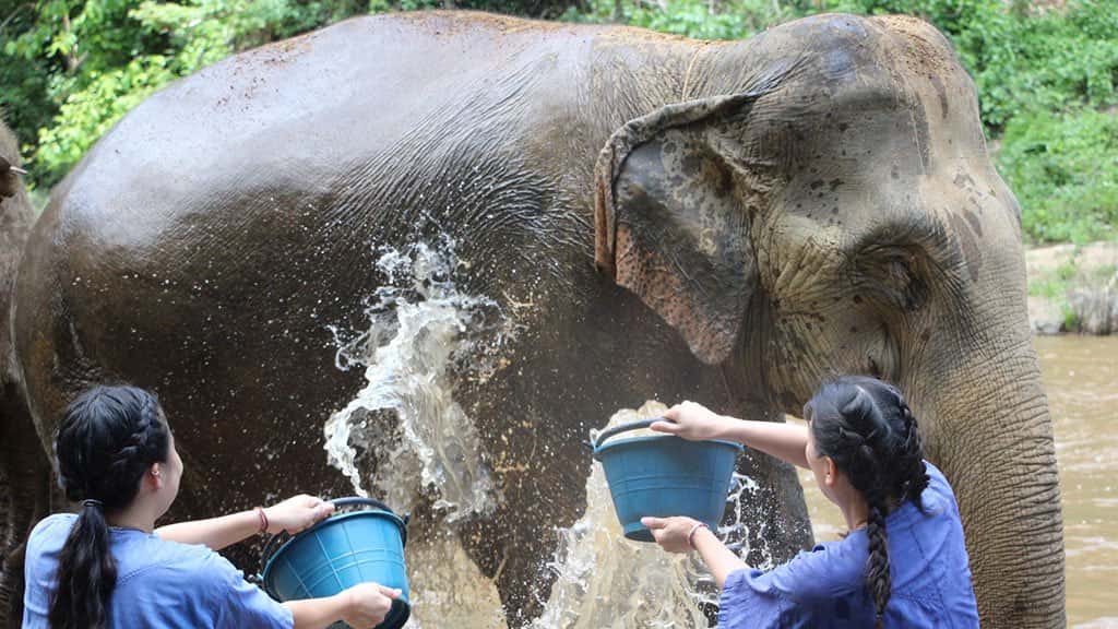white water rafting and elephant care