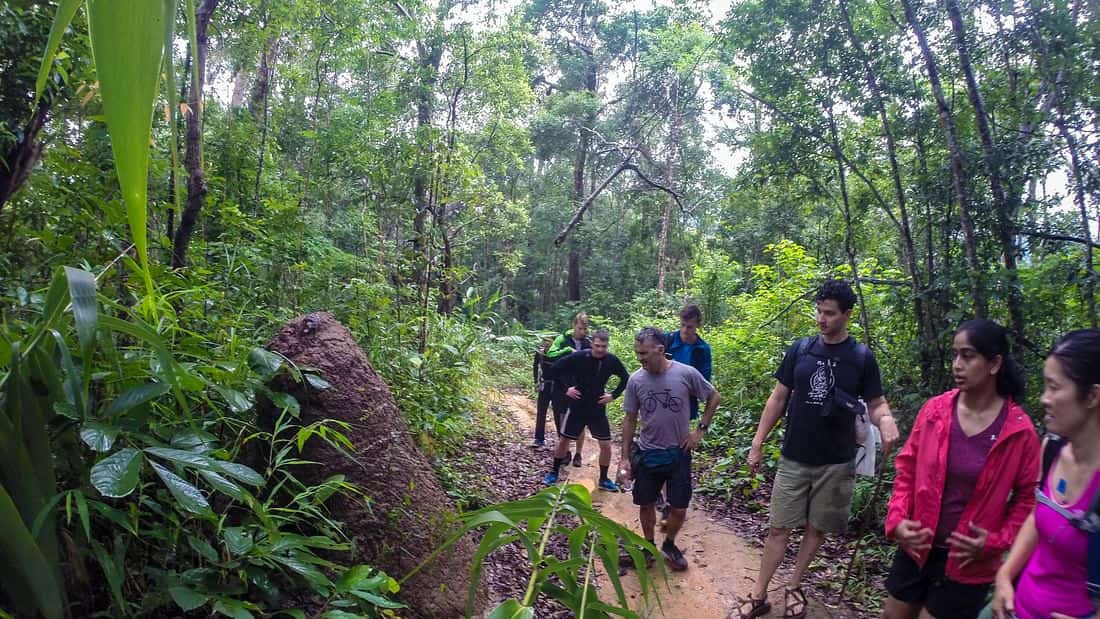 doi suthep pui national park hiking