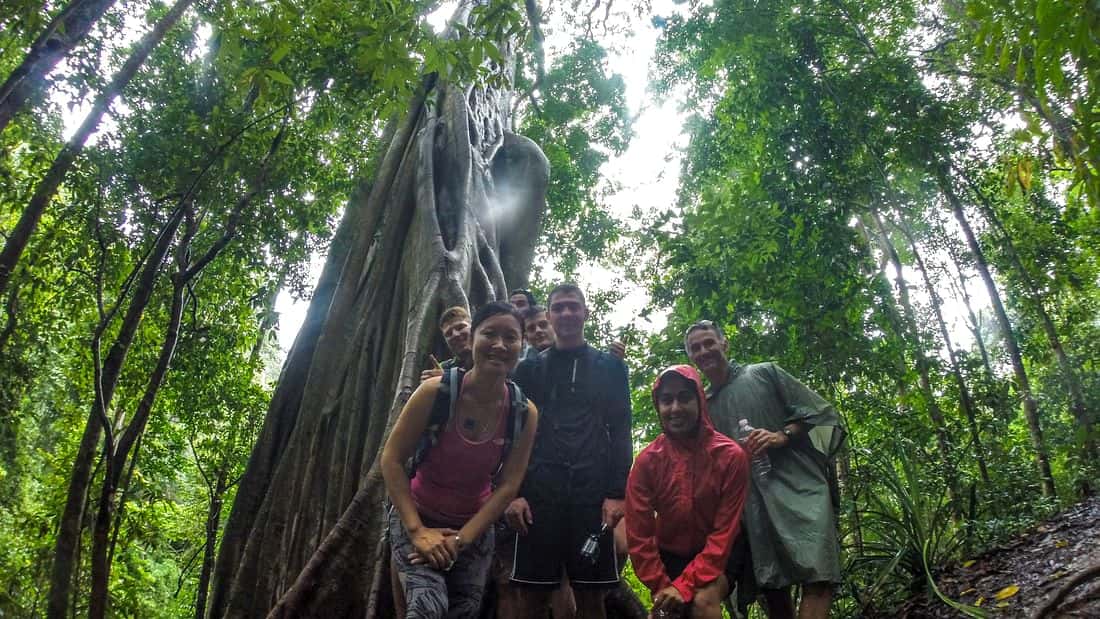 hike and bike, doi suthep national park, chiang mai