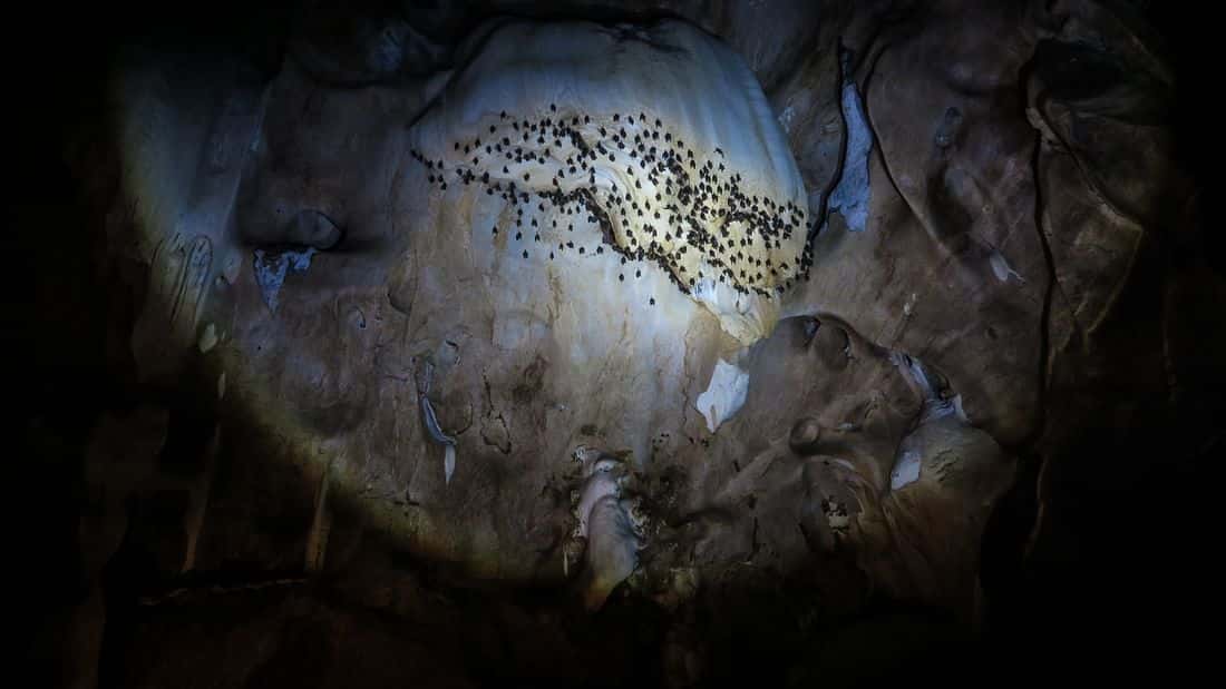 jungle kayak tour, chiang dao cave, chiang mai