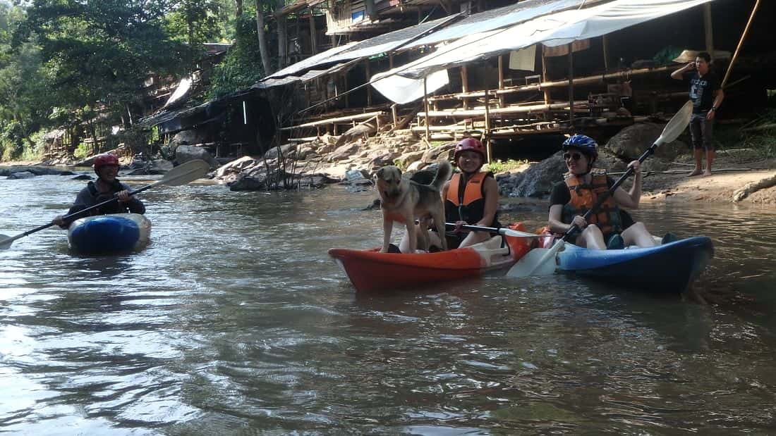 mae wang, jungle kayaking, chiang mai, trip from chiang mai