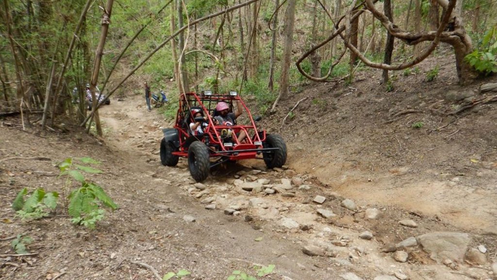 Mini buggy off road on sale