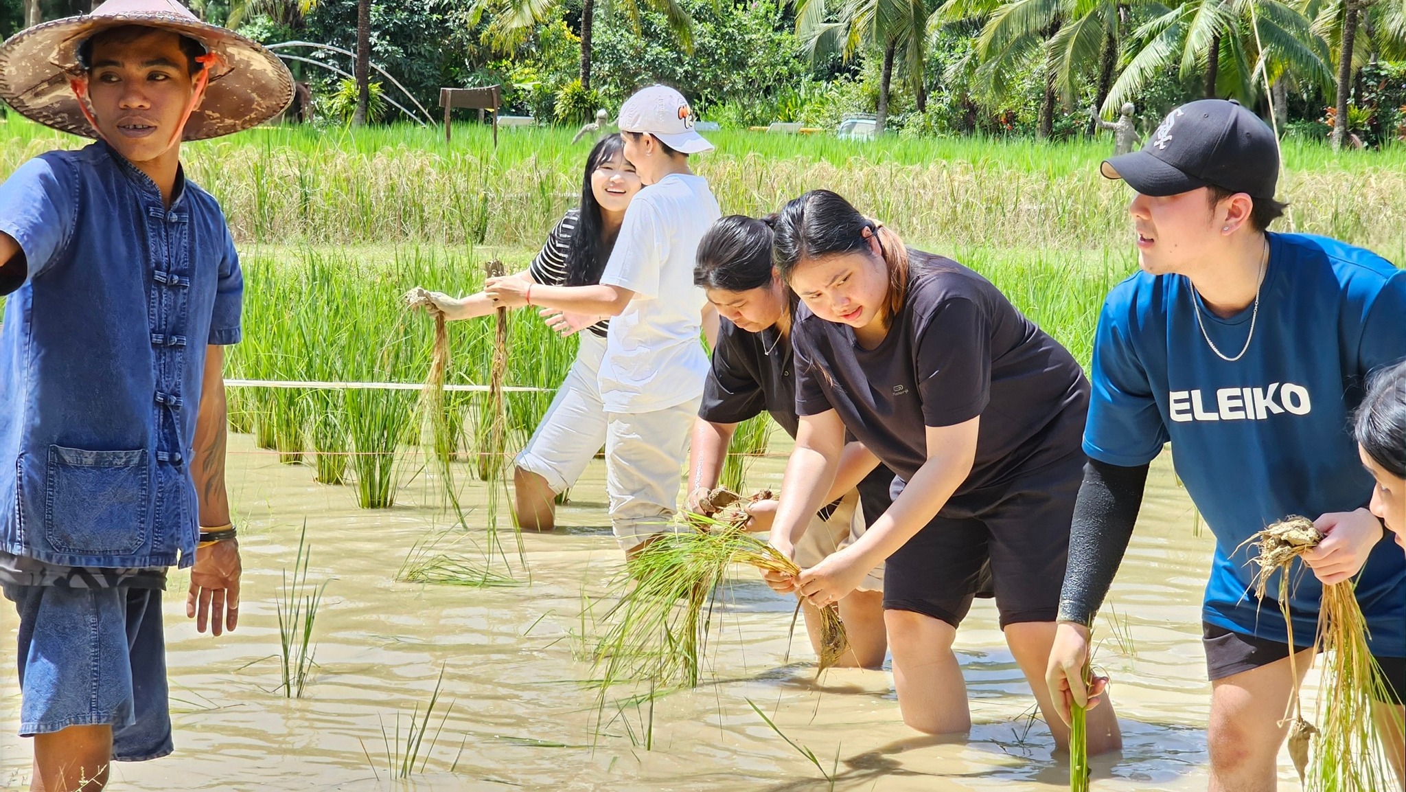 Phuket Traditional Farm Tour