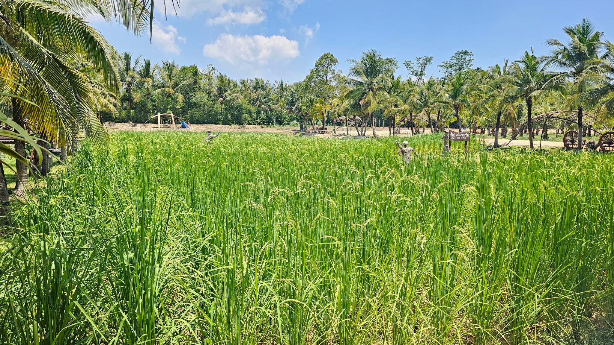 Phuket Traditional Farm Tour