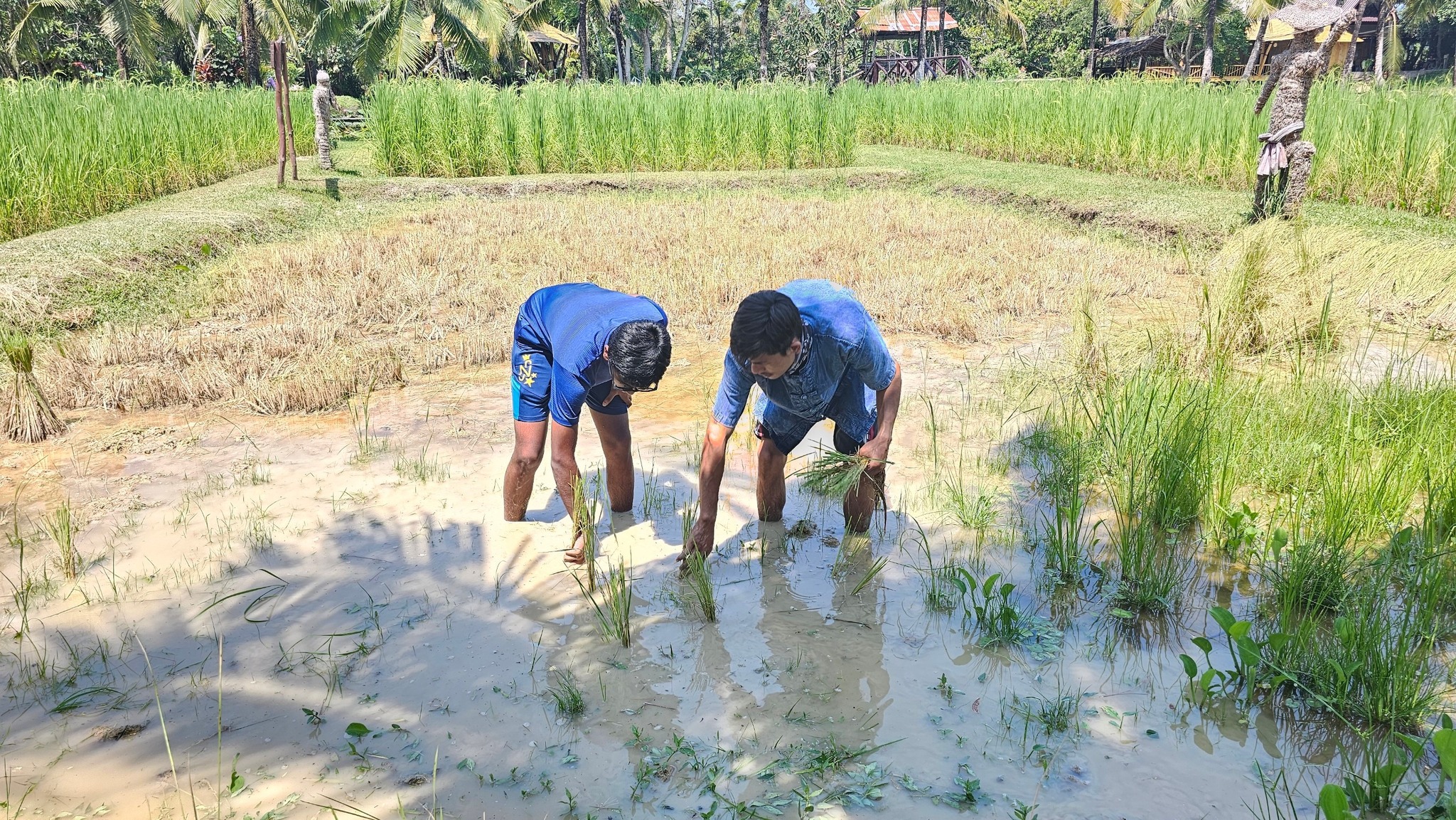 Phuket Traditional Farm Tour