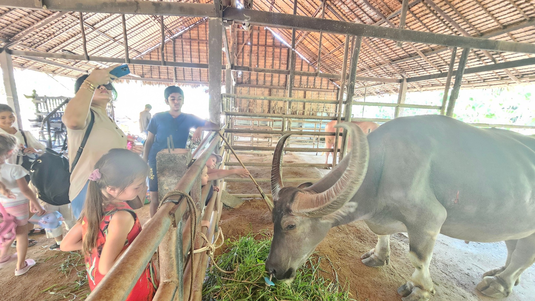 Phuket Traditional Farm Tour