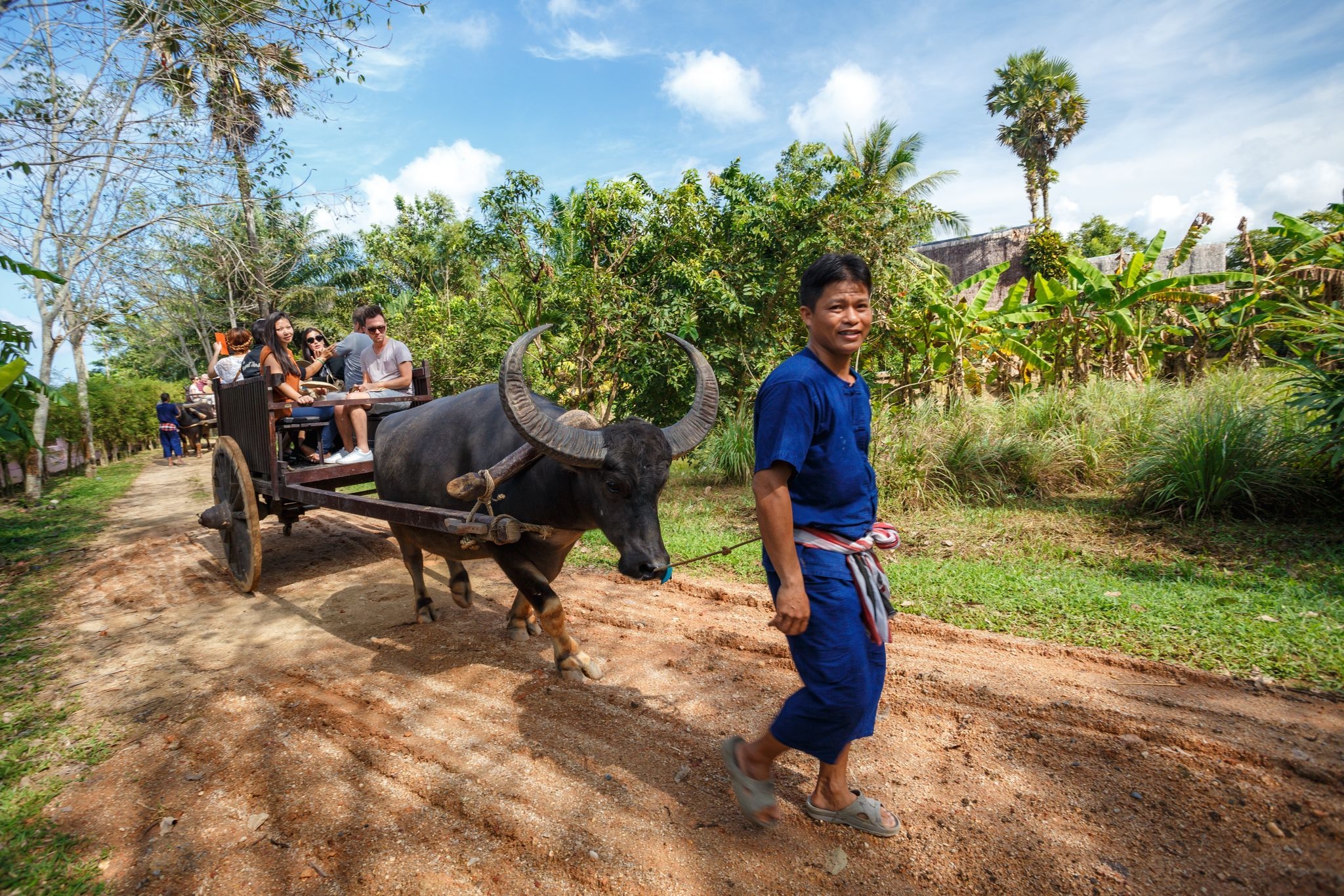 Phuket Traditional Farm Tour