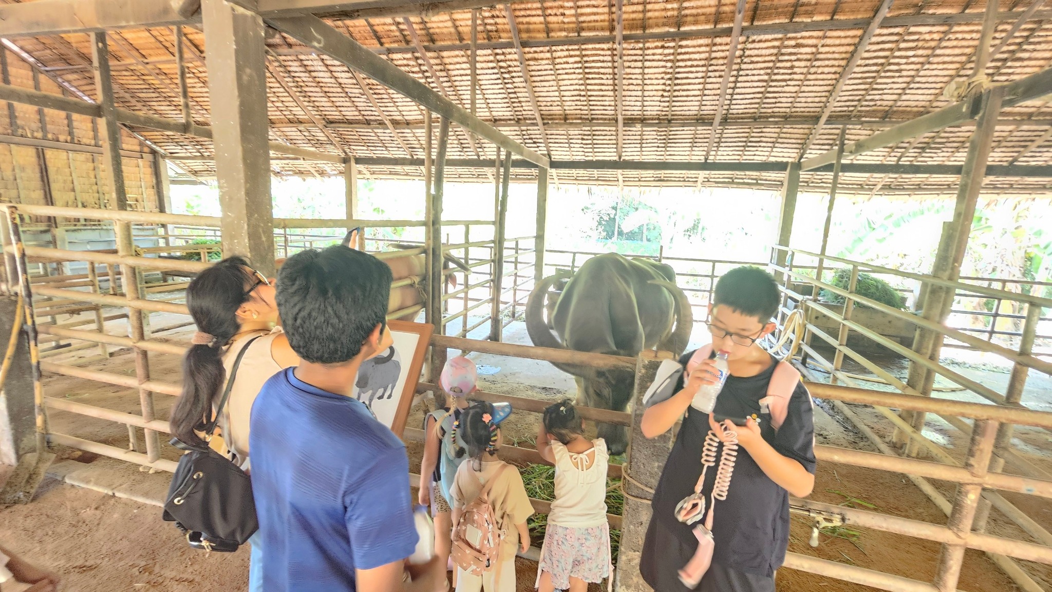 Phuket Traditional Farm Tour