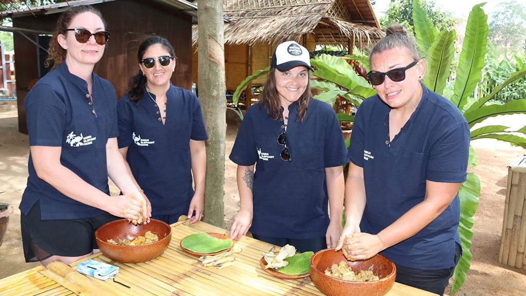 elephant care, samui elephant home, elephant care samui