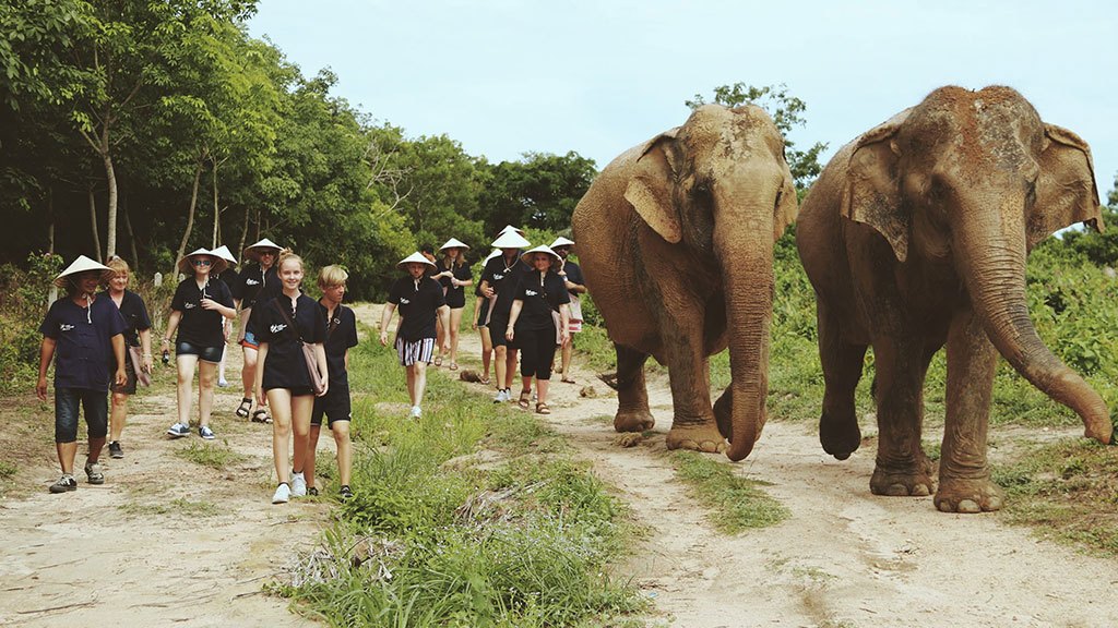 elephant care, samui elephant home, elephant care samui