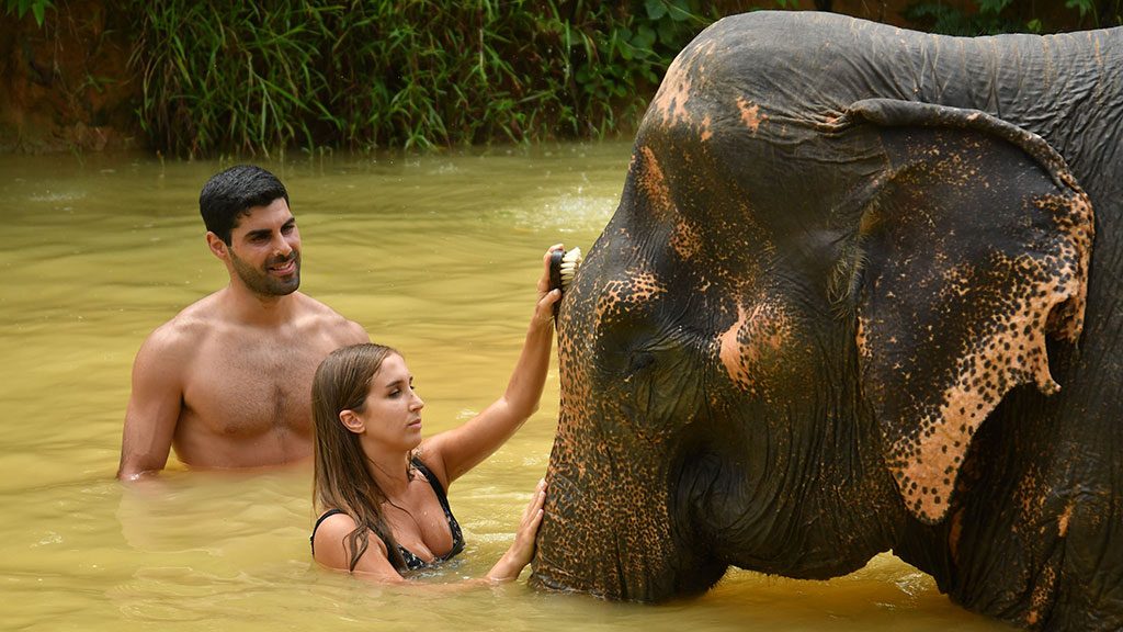 elephant jungle sanctuary phuket