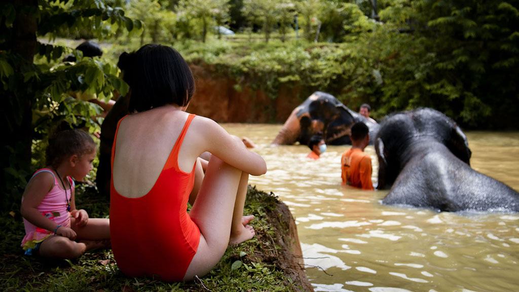 elephant jungle sanctuary phuket