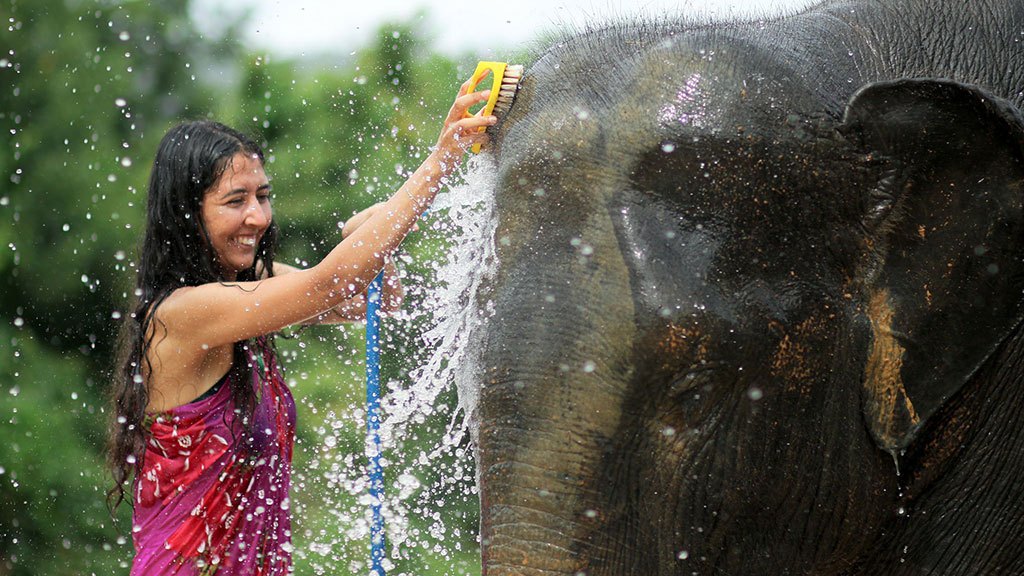 elephant jungle sanctuary phuket