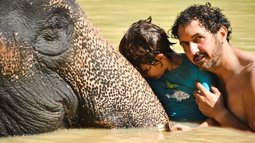 elephant jungle sanctuary phuket